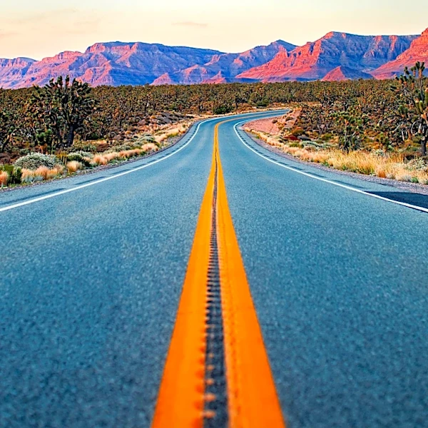 New Mexico Congressional Delegation Secures $10 Million for WIPP Haul Road Upkeep