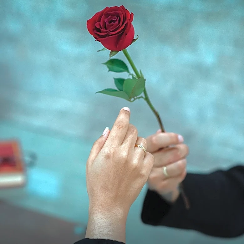 Oklahoma Volunteers Distribute Roses to Raise Domestic Violence Awareness and Highlight State Laws
