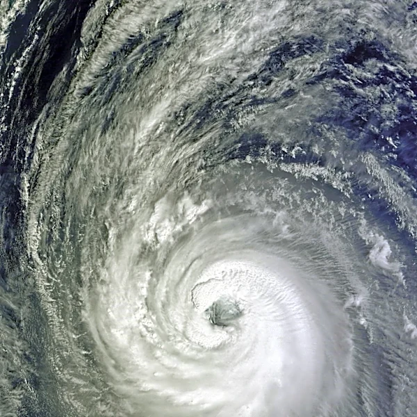 Tropical Storm Wipha Occurred in 2019, Not Forecasted for 2026