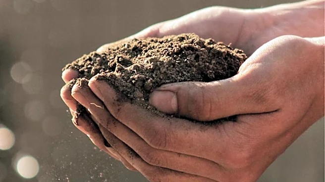 Organic Food Model Emphasizes Soil Health and Sustainable Practices