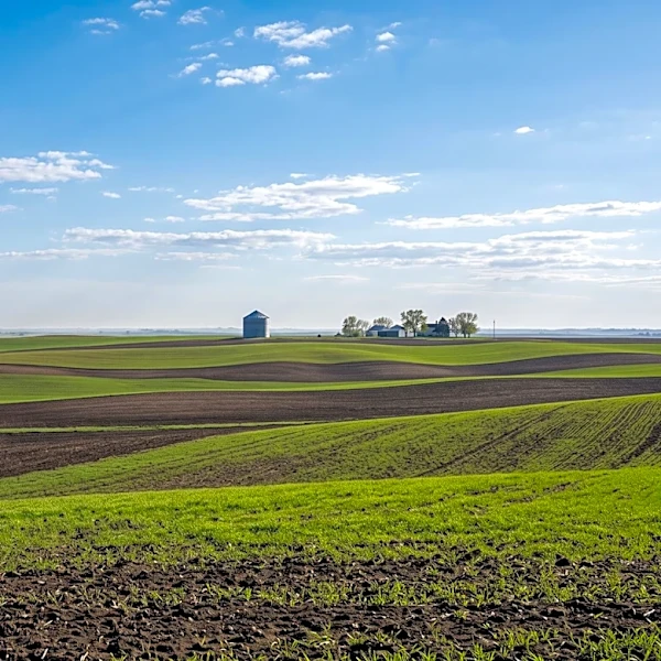 Eastern Iowa Anticipates Unseasonably Warm Weekend Followed by Midweek Weather Shift