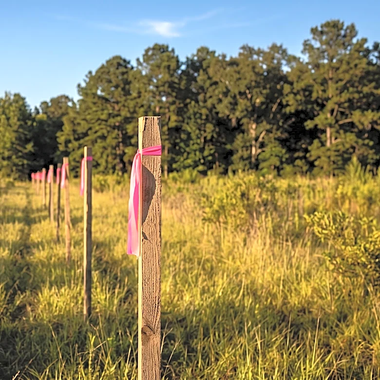 Park West Residents and Community Groups File Lawsuit Over Mount Pleasant Highway 41 Extension