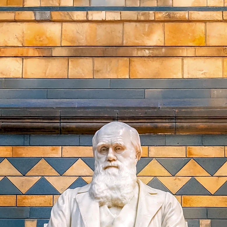 Bernard Palissy's Enduring Legacy: From Potter to Natural Historian