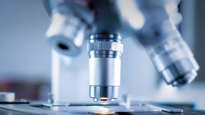 New Study Links SBRT to Humoral Immune Activation in Metastatic Renal Cell Carcinoma