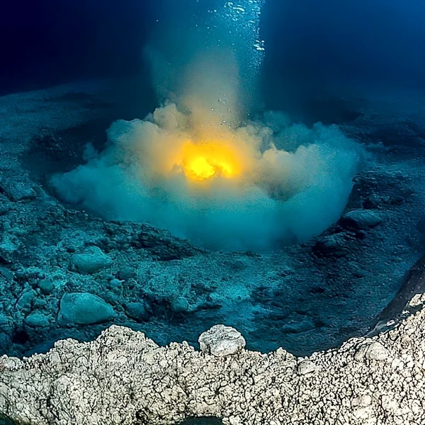 Gravid Antarctic Krill Utilize Deep-Sea Hydrothermal Vents for Spawning, Challenging Established Views