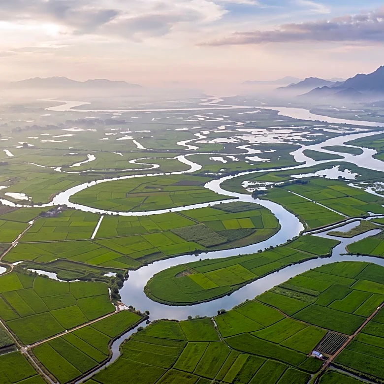 Helen F. Siu, Professor Emerita at Yale, Co-Produces Documentary on Pearl River Delta