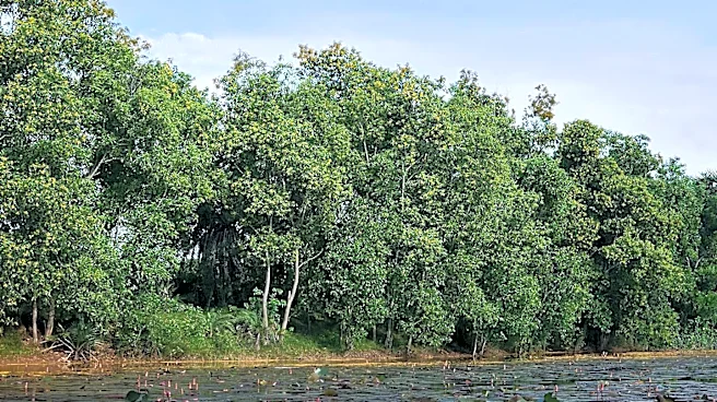 U.S. Representative Steve Womack Supports Federal Funding and Private Donations for Lake Wedington Restoration