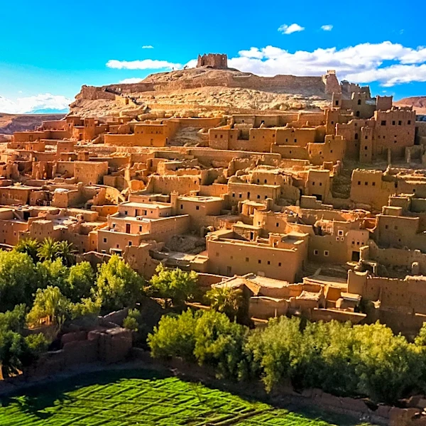 USDA Allocates $825 Million for Global Food Programs, Including Morocco's Agricultural Sector