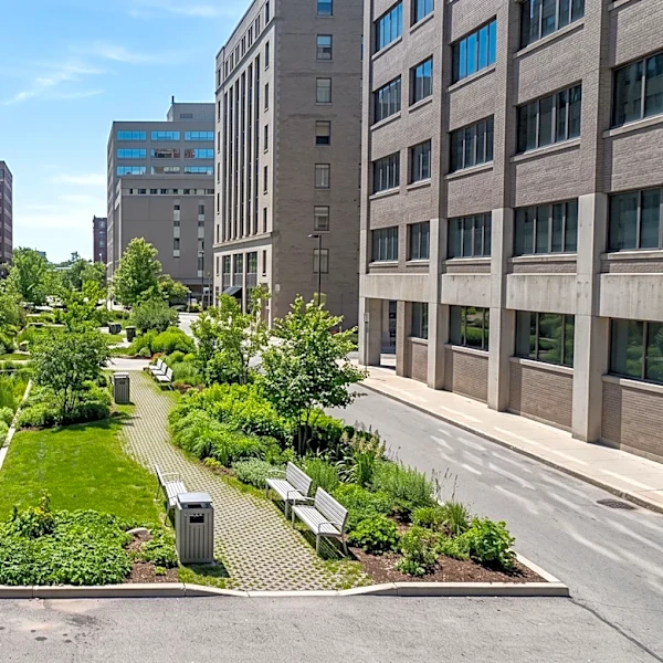Small Detroit Parks Provide Significant Cooling Benefits, Study Finds