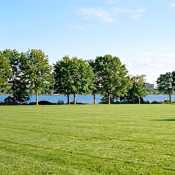 Cambridge City Manager Rejects MWRA Proposal for Permanent Magazine Beach Fencing