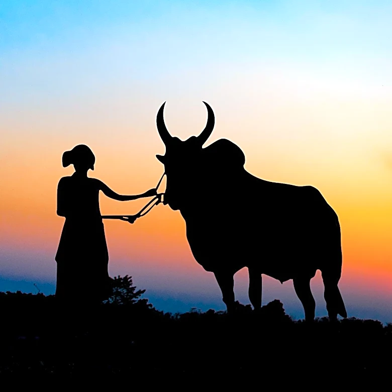 Animal Domestication Examined for Links to Human Oppression and Power Dynamics