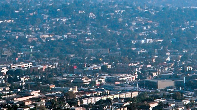 Los Angeles Declared Most Mosquito-Infested City in America Amid Record Heatwaves and El Niño