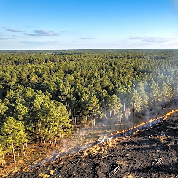 Forest Service Responds to Two Wildfires in Gogebic County, Michigan