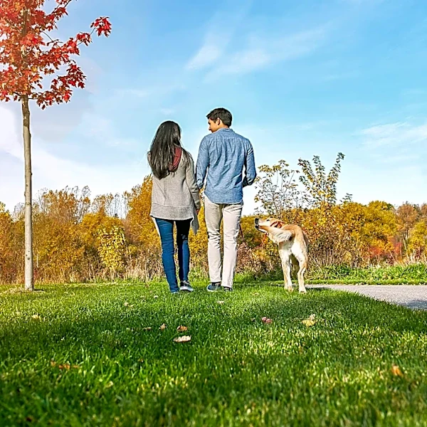 Paws Walk 5K at Belmont Lake State Park Raises Support for Pet Owners in Need