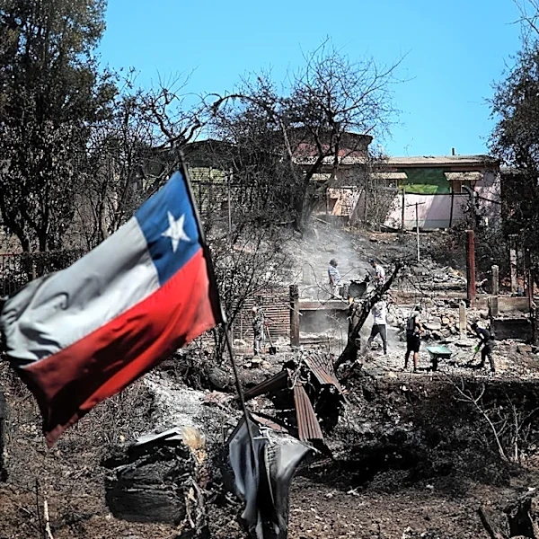 Chile Advances Carbon Credit Expansion, Seeks New International Buyers Ahead of COP31