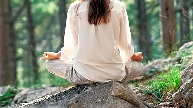 Study in Israel Shows Forest Medicine Improves PTSD Symptoms