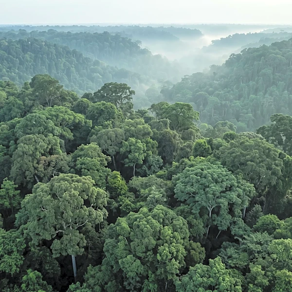 Indigenous Leaders Warn Investors Against Amazon Oil and Mining Plans in Ecuador