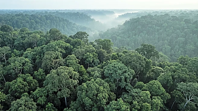 Indigenous Leaders Warn Investors Against Amazon Oil and Mining Plans in Ecuador