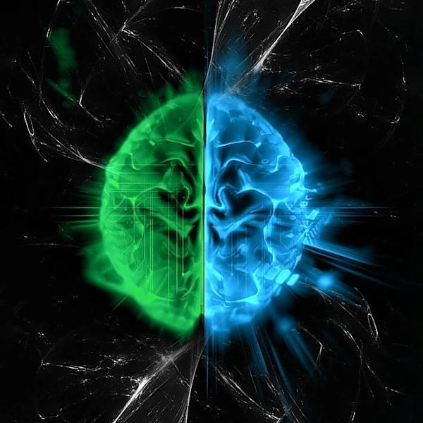 Northwestern Medicine Debunks 'Left Brain vs. Right Brain' Myth, Emphasizes Whole Brain Function
