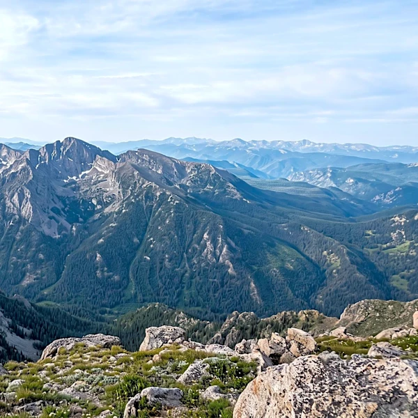 WildEarth Guardians' Chris Smith Advocates for Enhanced Wolf Protection Policies Across Western U.S.