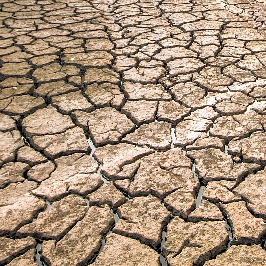 Kandahar Orchards Face Severe Drought Risk, Threatening Agricultural Livelihoods