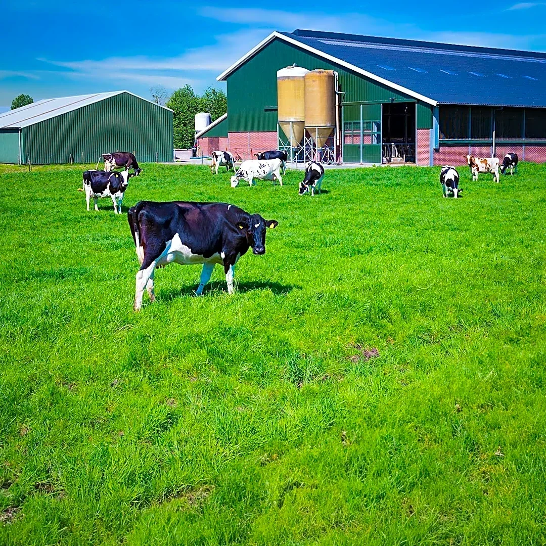 States Invest in Dairy Modernization and Growth Initiatives