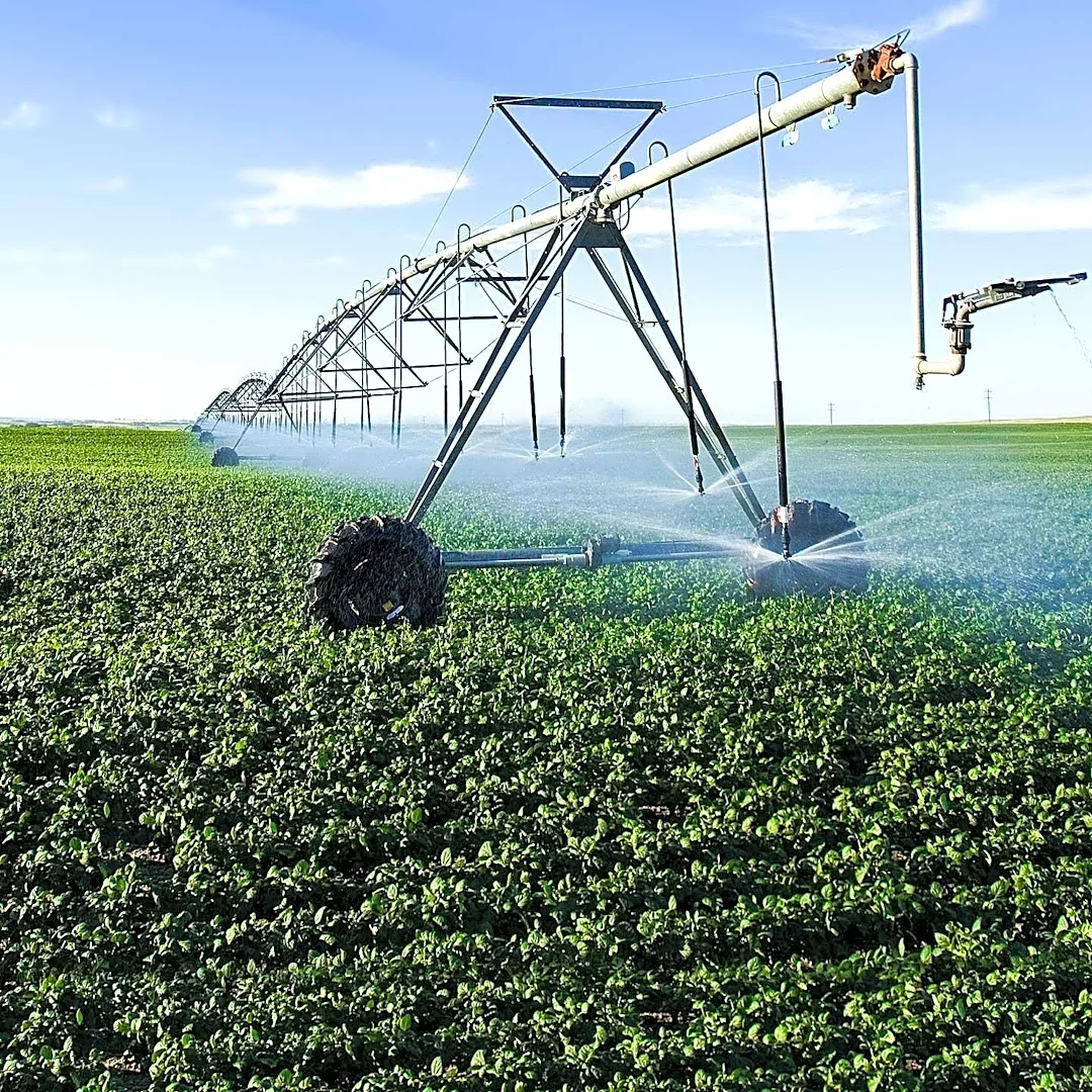 Closed-Loop Farming Offers Water Conservation and Pollution Reduction in Agriculture