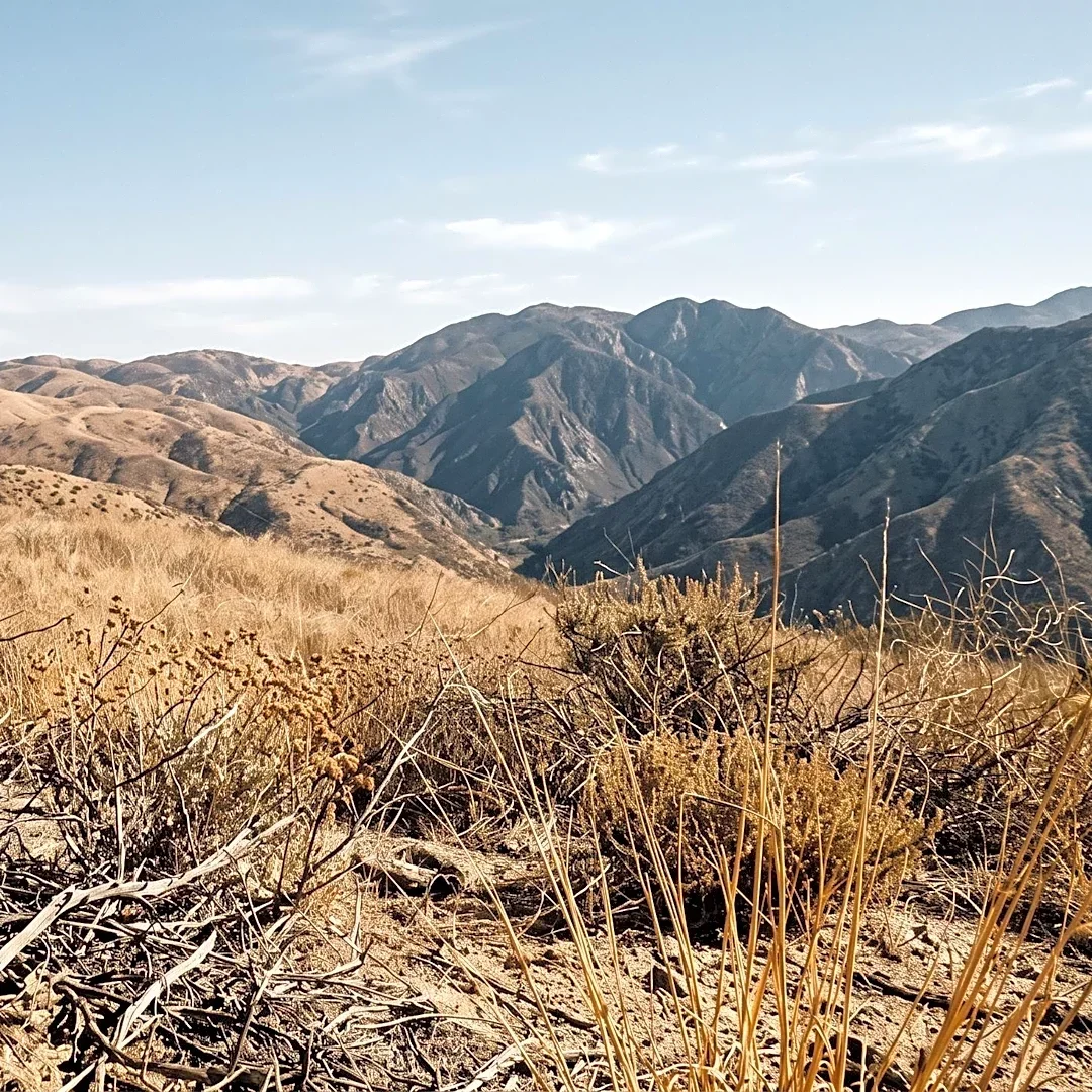 Southern California Braces for Elevated Wildfire Risk Amidst Santa Ana Winds and Dry Conditions