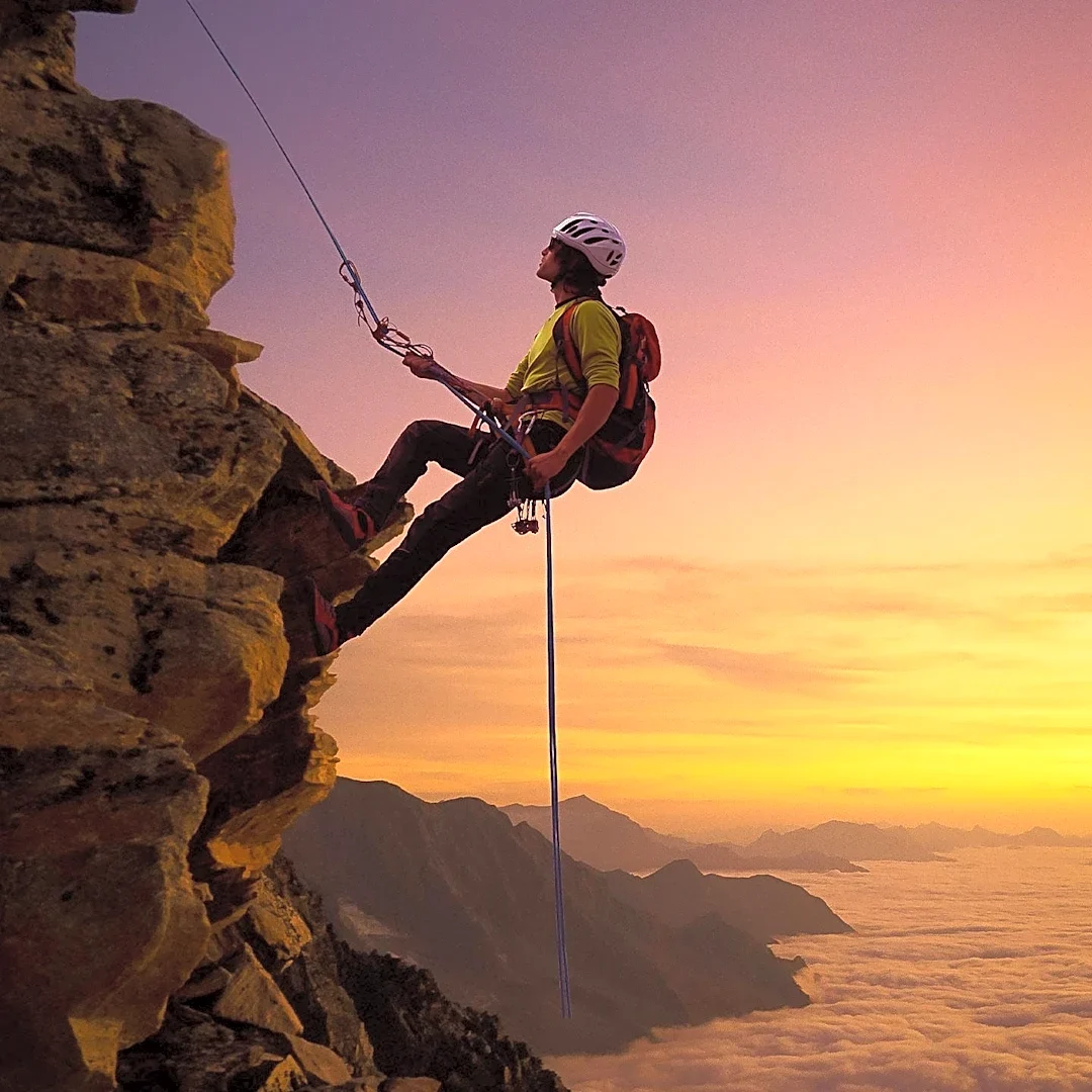 DMM Launches New Anchors Range for Arborists, Enhancing Canopy Safety and Efficiency