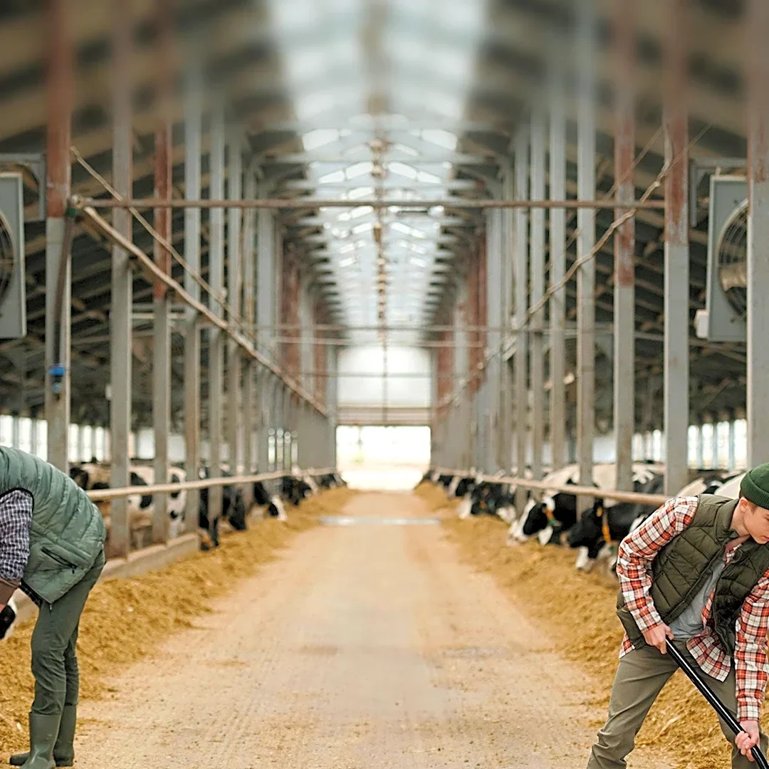 U.S. States Invest in Dairy Modernization and Growth to Strengthen Industry