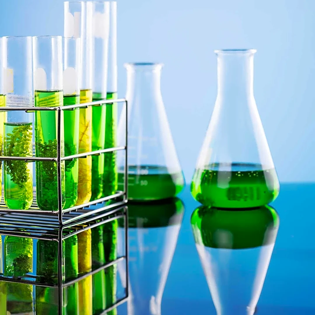 ETH Zurich Scientists Develop Bacteria-Based Biocement for Sustainable Construction