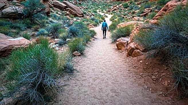 Navajo-Guided Experiences Offer Deeper Cultural and Landscape Understanding in Southwest Tourism