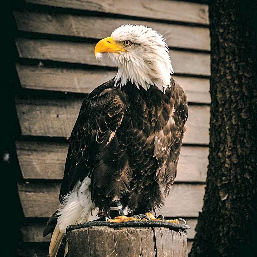 Hunter Education Programs Emphasize Safety, Ethics, and Conservation Across U.S.