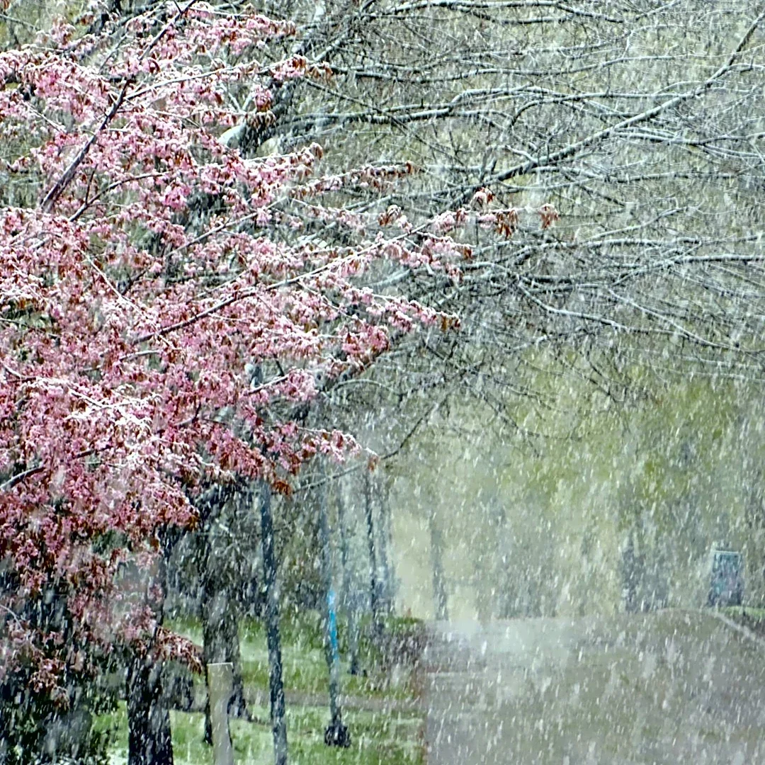 Maine Anticipates Early Snowfall as Cold Front Moves In
