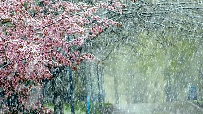 Maine Anticipates Early Snowfall as Cold Front Moves In