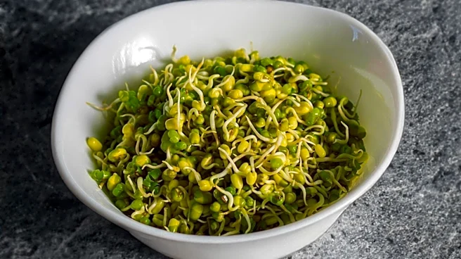 FDA-Approved Natural Flavoring, Castoreum, Sparks Public Discussion on Food Additives