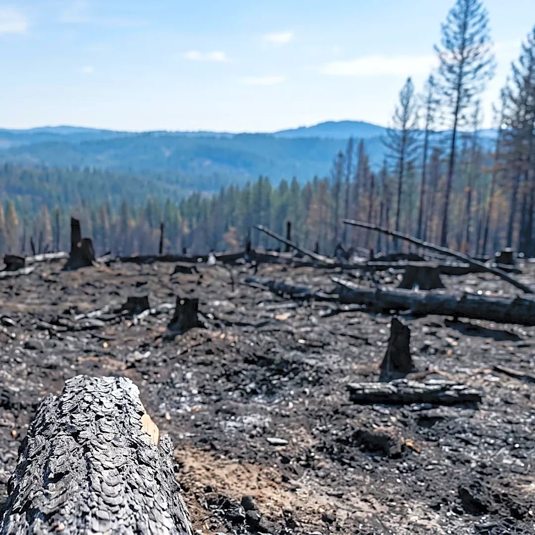 Idaho Department of Lands Reports Over 80% of Wildfires on State Land Caused by Humans This Year