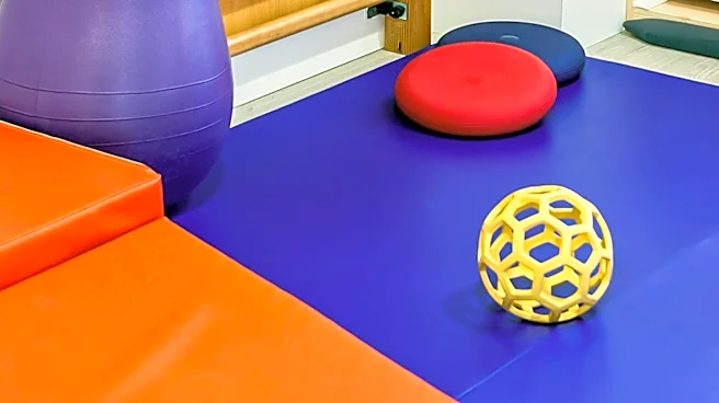 High-Quality Fitness Programming Lacking for Individuals with Autism Spectrum Disorder