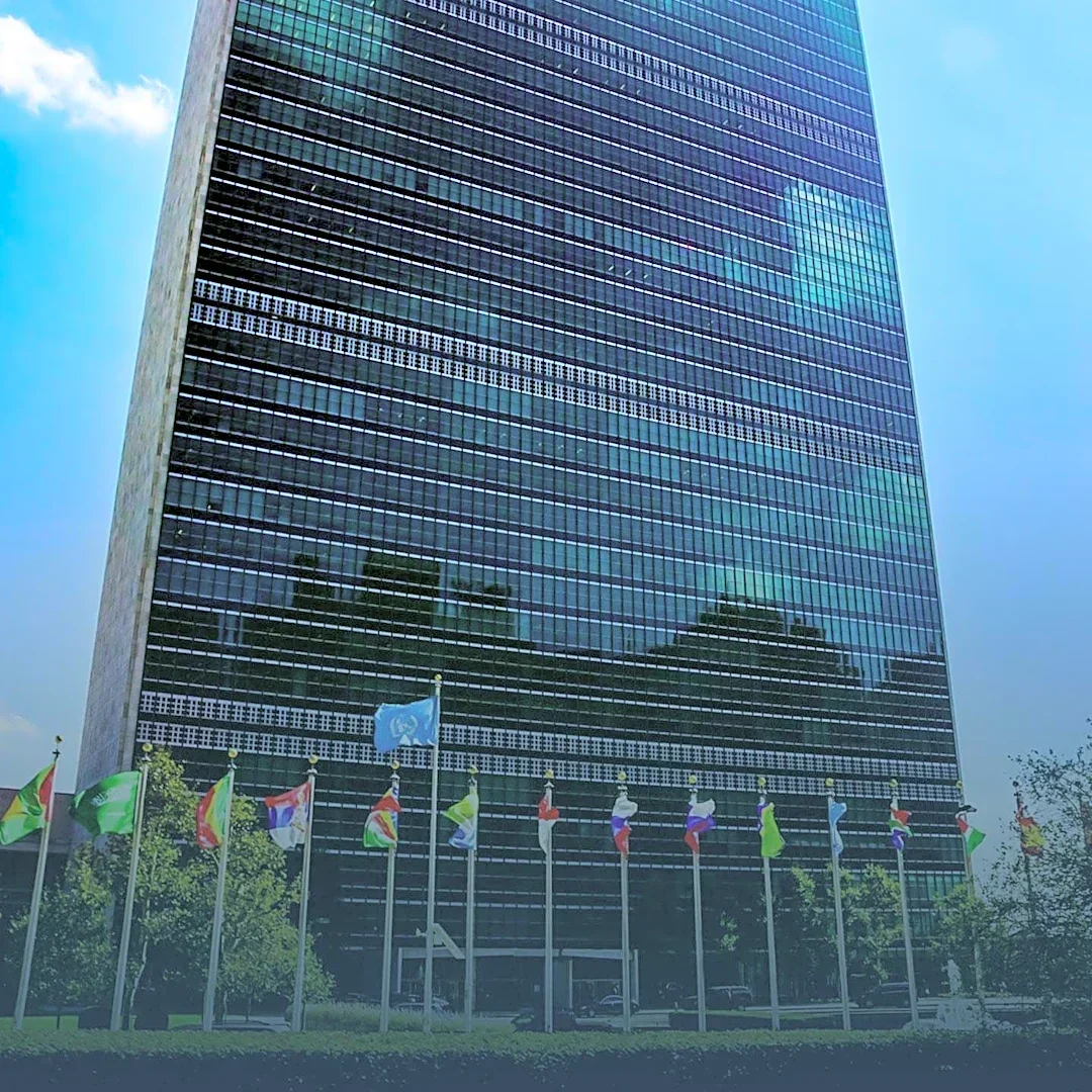 UN Approves US NGO Medical Aid to North Korea Amid Pyongyang's Criticism of South Korean Plan