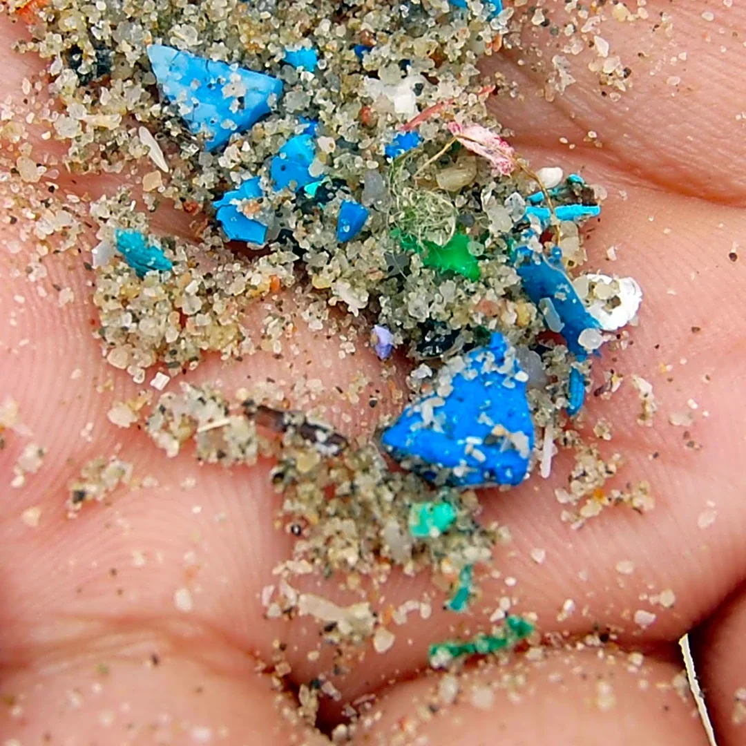 Research Indicates No Direct Link Between Microplastics and Lower Human IQ