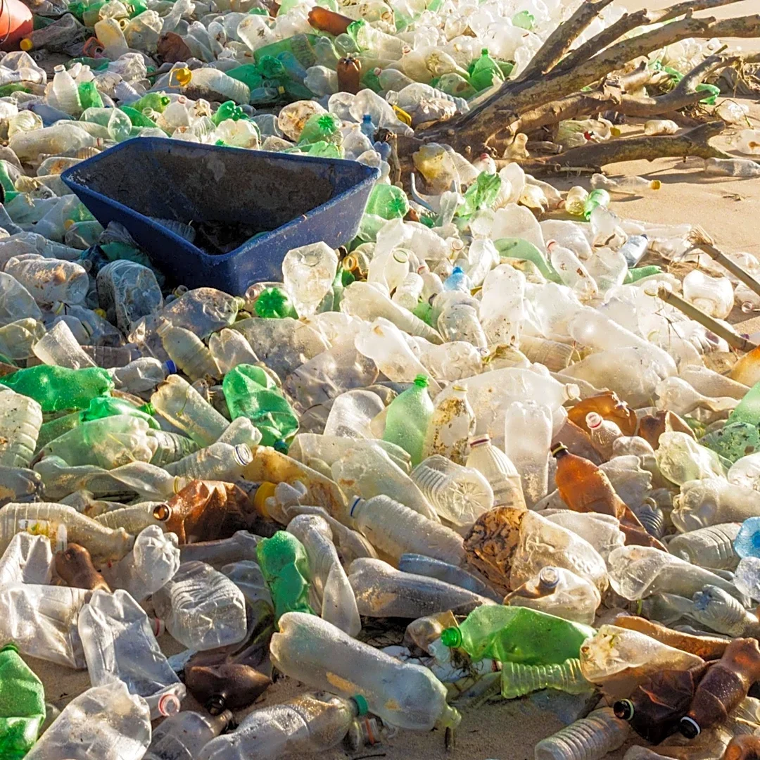 Representative Salud Carbajal Co-Sponsors Bill for $42 Million Toxic Waste Investigation Off California Coast