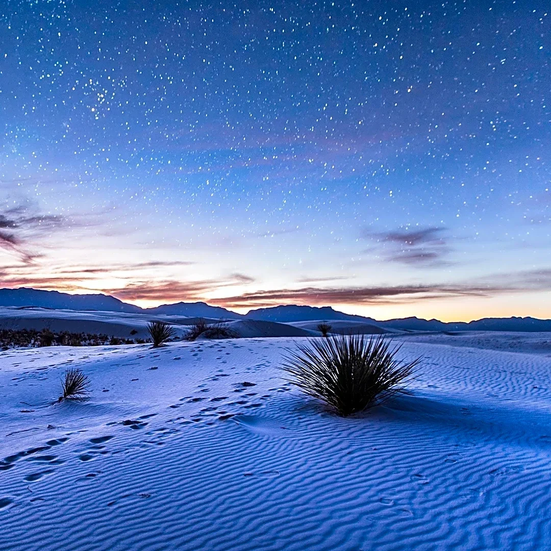 White Sands Footprints Reveal Abrupt Environmental Shifts Faced by Early North American Humans