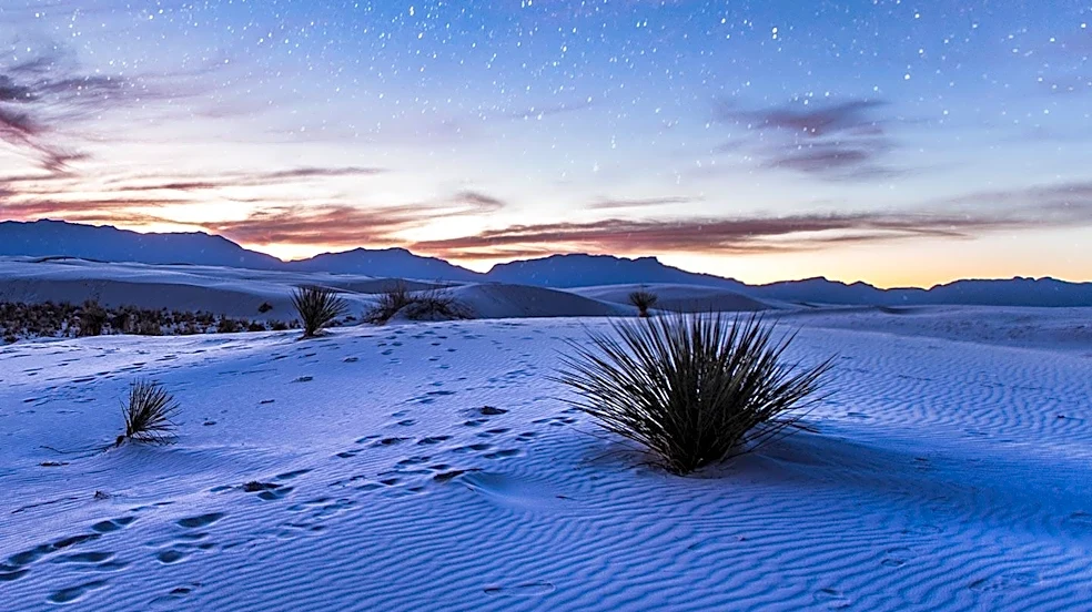 White Sands Footprints Reveal Abrupt Environmental Shifts Faced by Early North American Humans