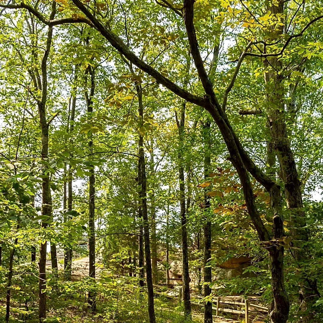 Adirondack Rail Trail Gateway and Champlain Canalway Trail Sections Reopen in Upstate New York