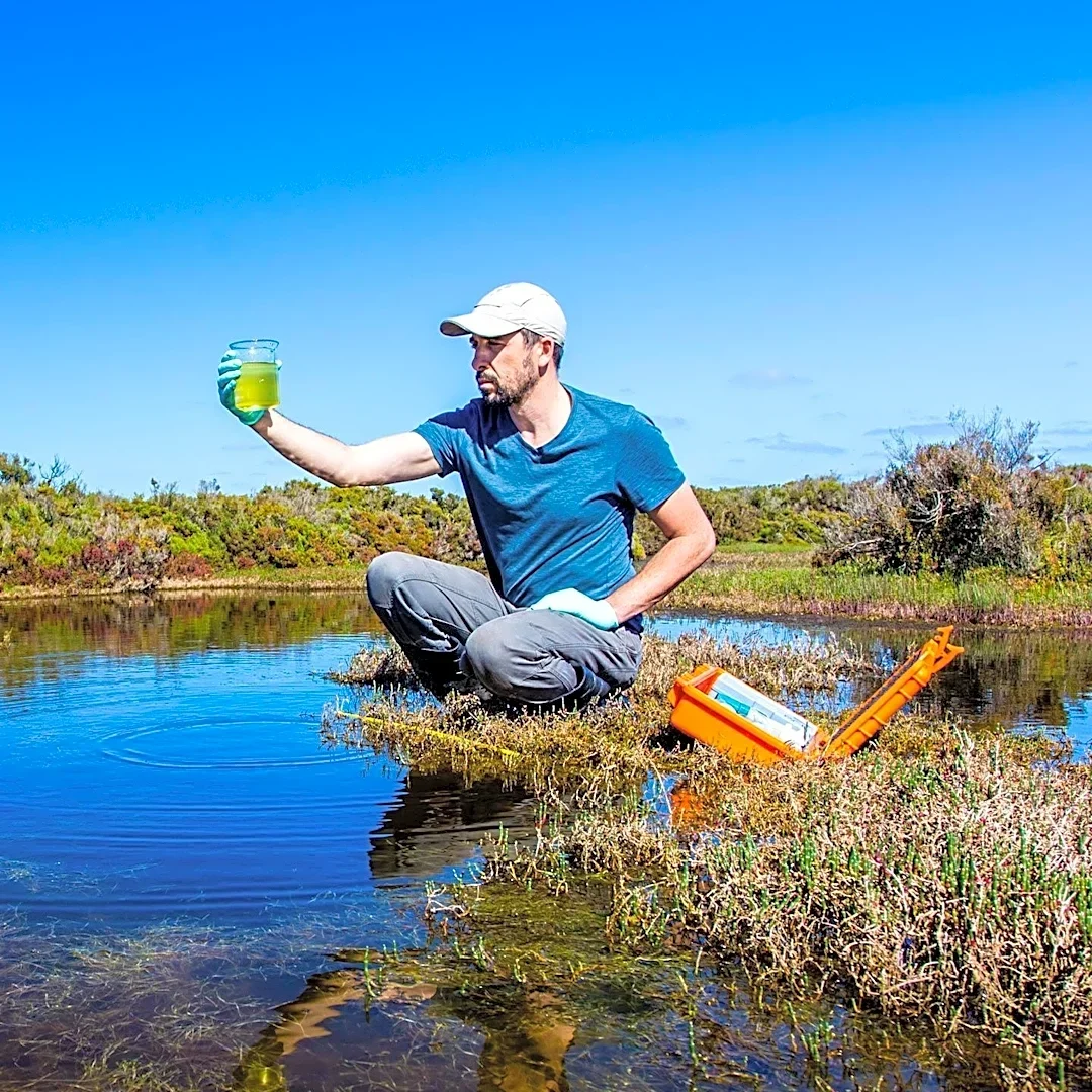 University of Michigan Study Reveals AI's Potential to Extract Ecological Data from Citizen Science Observations