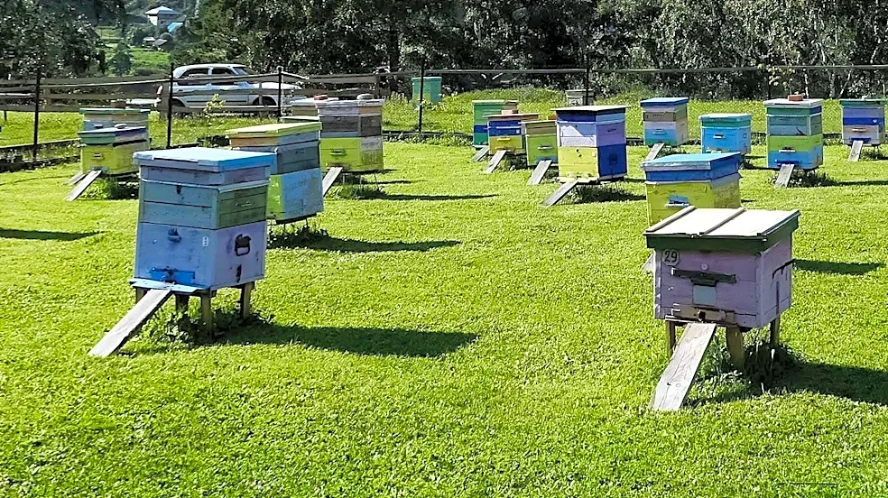 Commercial Beekeeping Operations Face Narrow Profit Margins, Rely on USDA Assistance