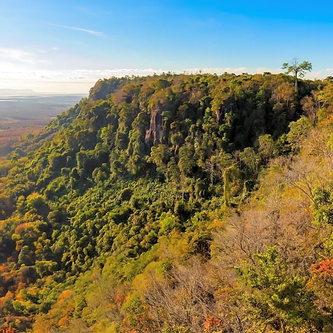 Virginia Designates Land Adjacent to Buffalo Mountain as State Conservation Area with Federal Funding Support