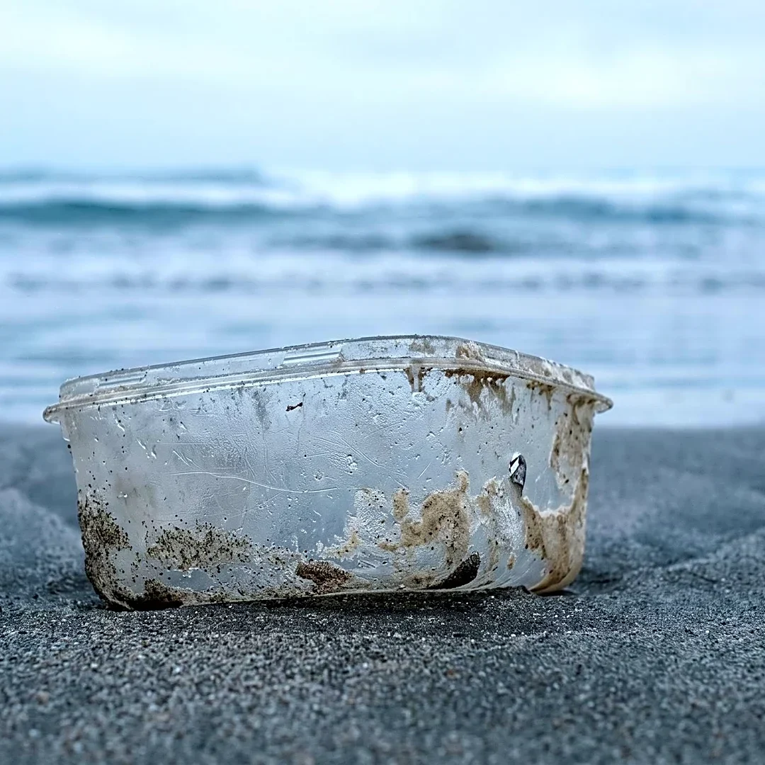 Indonesia and Norway Host Informal Talks on Global Plastics Treaty Amidst Stalled Negotiations