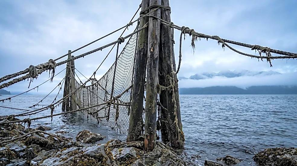 Historical Salmon Piracy and Smuggling Operations Flourished in Salish Sea During Late 19th and Early 20th Centuries