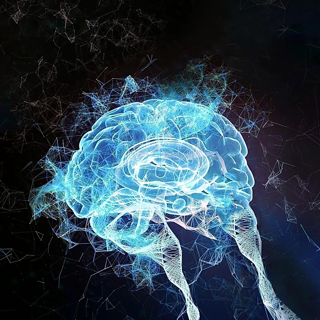 Research Explores Peptide Microbiome Dynamics and Gut-Brain Axis Influence